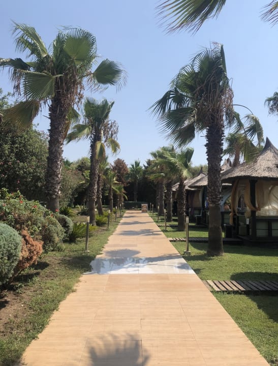 Gartenanlage Latanya Park Resort