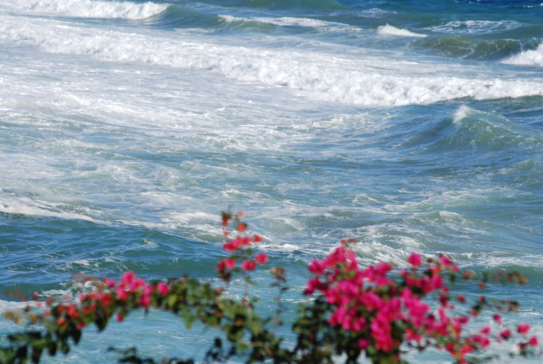 Strand Crystal Springs Beach Hotel