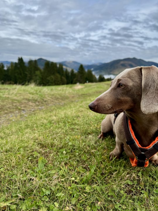 Außenansicht derWaldfrieden naturparkhotel