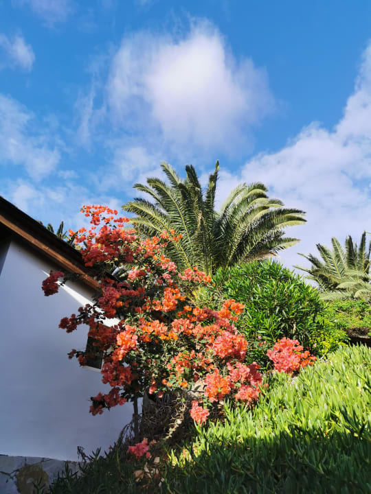 Gartenanlage Marina Playa Suite Hotel