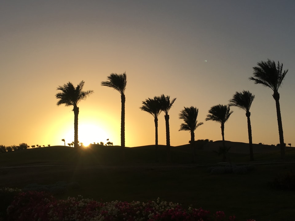 Garten Steigenberger Makadi Hotel - Adults only