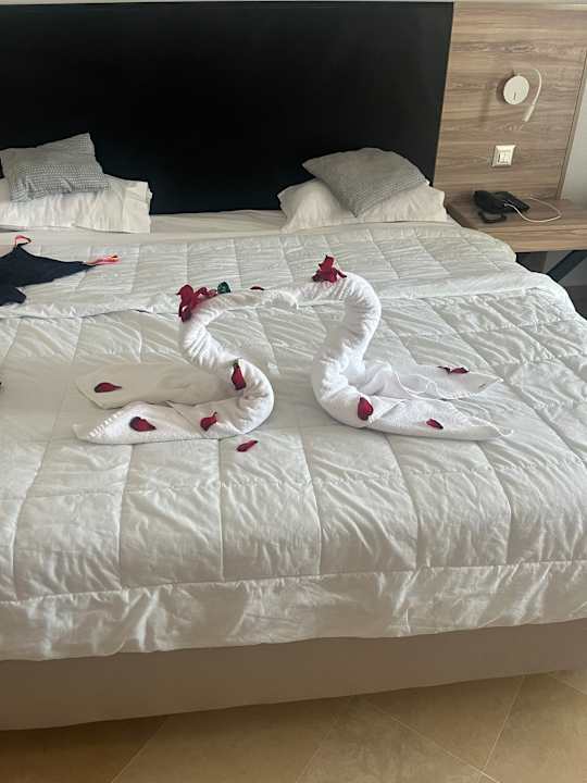 Zimmer Medina Solaria & Thalasso