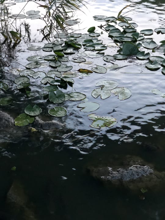 Gartenanlage Jiva Beach Resort