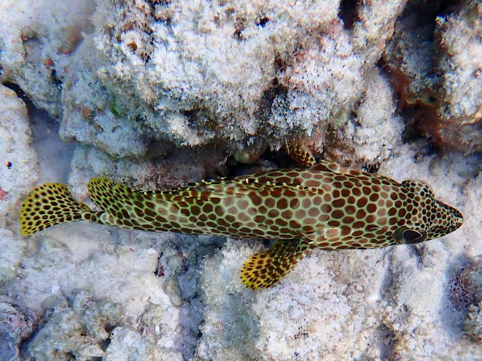 Strand Dreamland The Unique Sea & Lake Resort / Spa