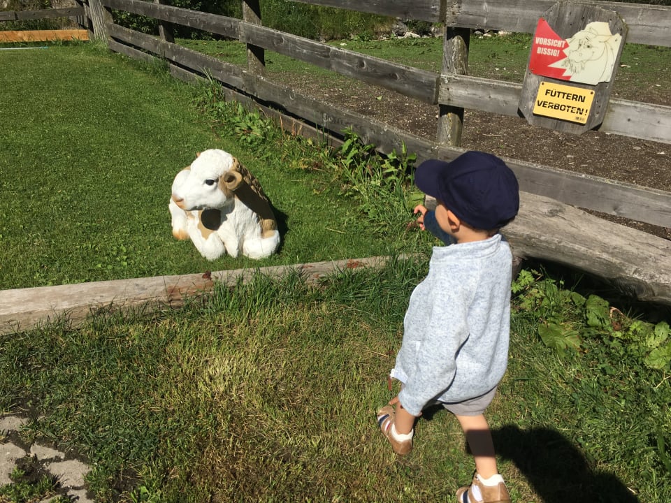 Sport & Freizeit Bauernhof Paußhof