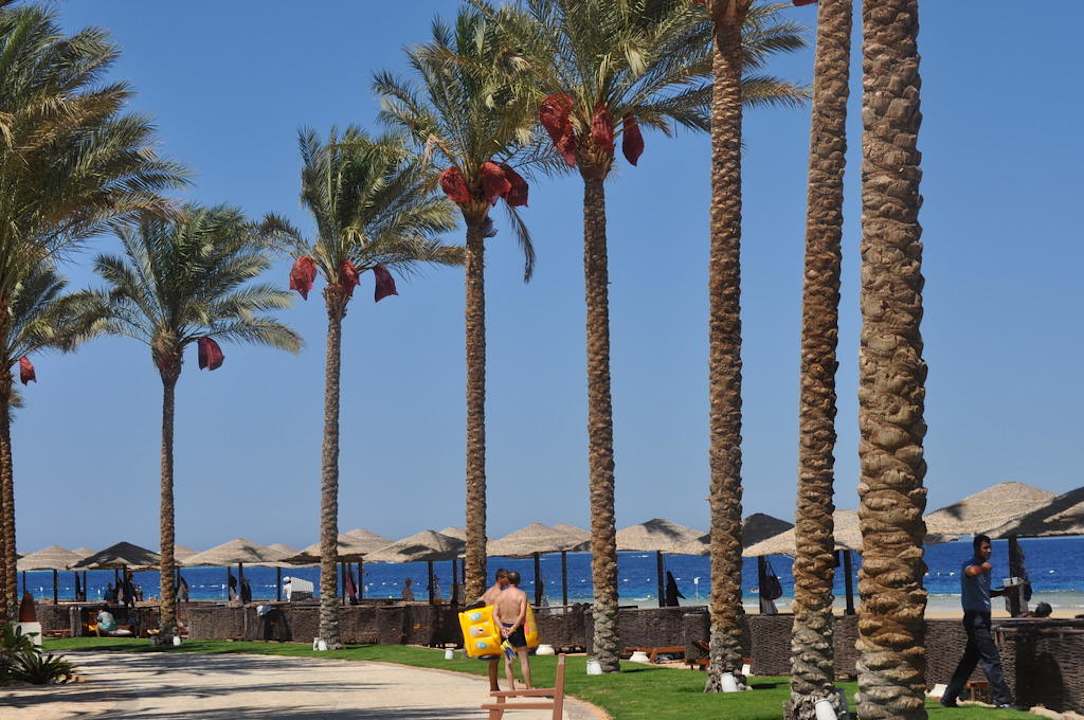 Palmen Makadi Palace