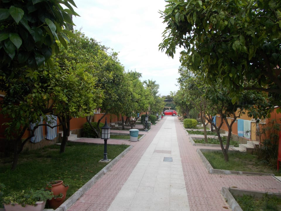 Gartenanlage Özlem Garden Hotel