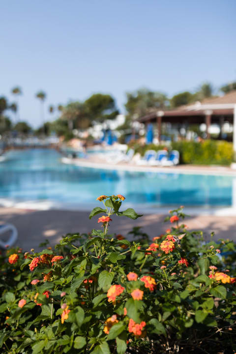 Pool Sagitario Princesa Playa