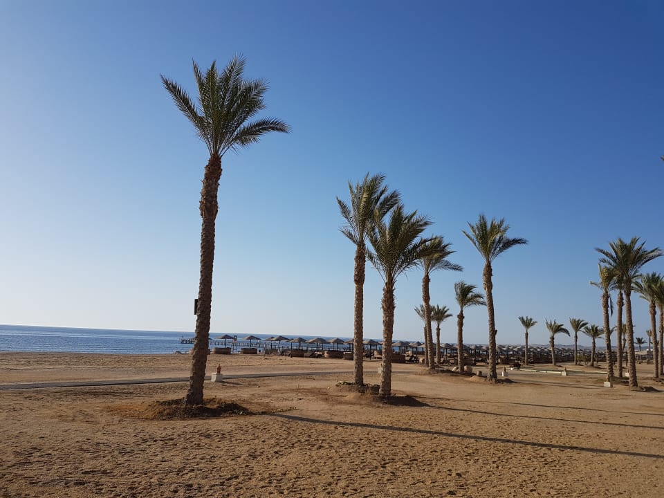 Strand Pickalbatros Sands Hotel - Port Ghalib