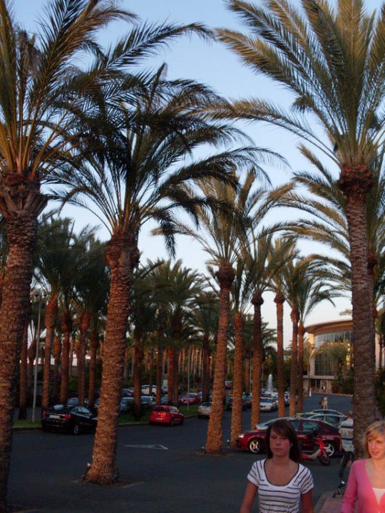 Weg zum Hotel Tabaiba Princess