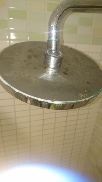 Zimmer Calimera Fido Gardens