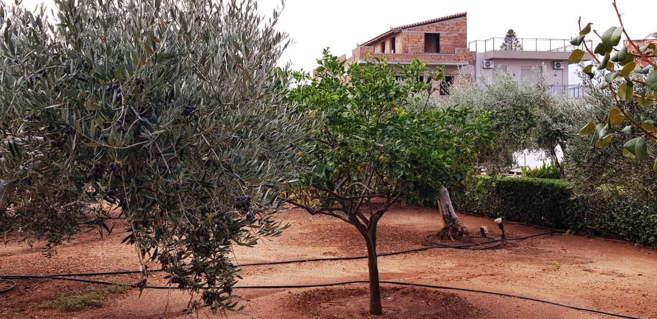 Gartenanlage Anissa Beach & Village