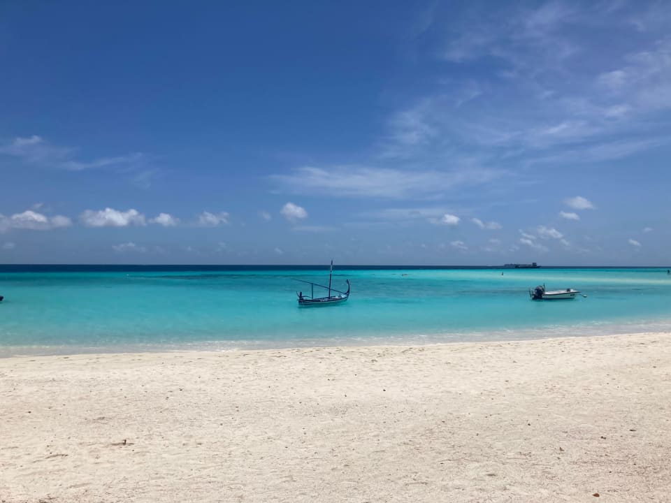 Strand Summer Island Maldives
