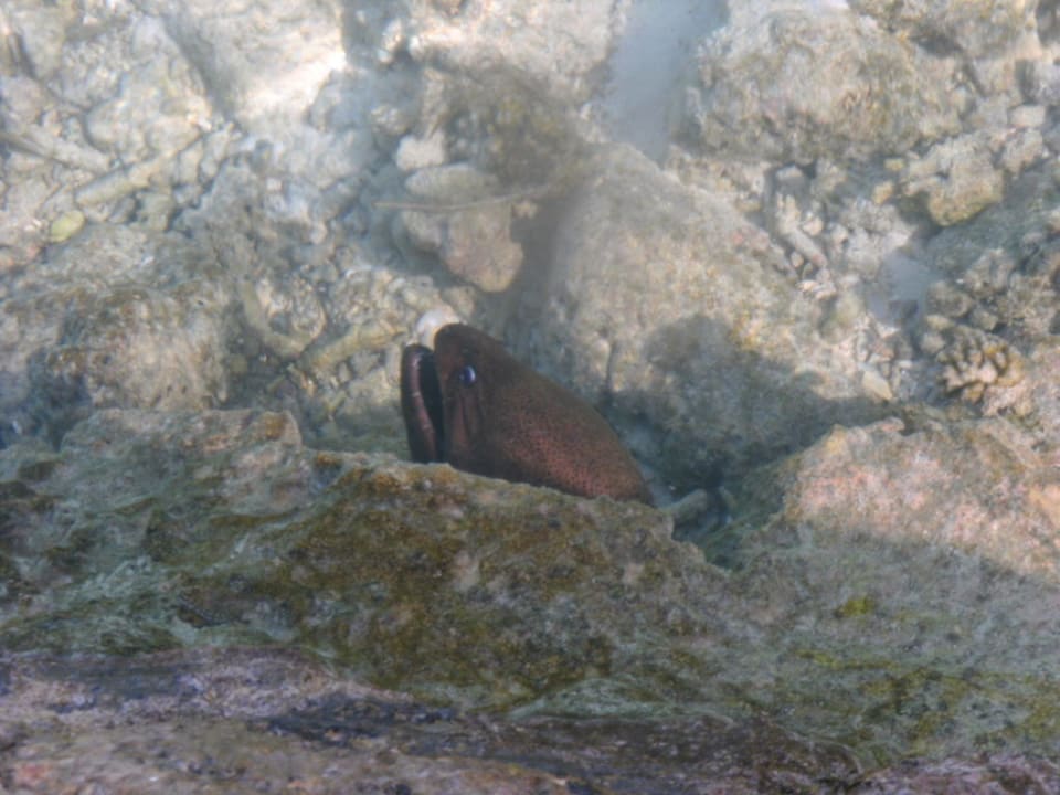 Muräne Adaaran Select Hudhuran Fushi - Premium All Inclusive