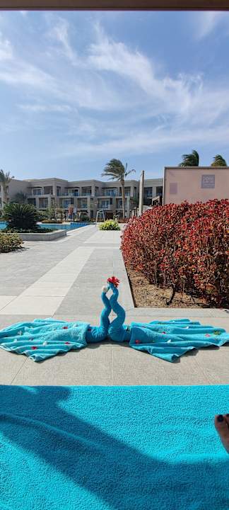 Pool Steigenberger Resort Ras Soma