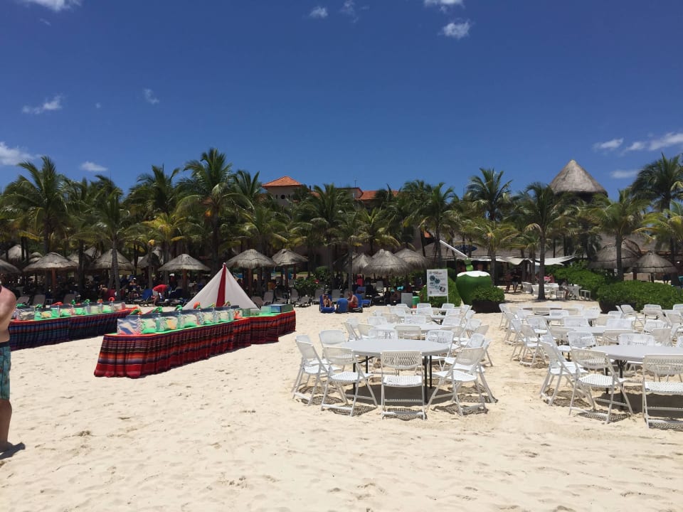 Vorbereitung fürs Barbeque am Abend Sandos Playacar Beach Resort