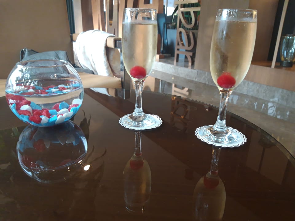 Gastro Side Star Elegance