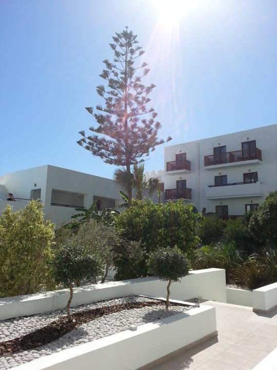 Gartenanlage TUI BLUE Oceanis Beach and Spa Resort