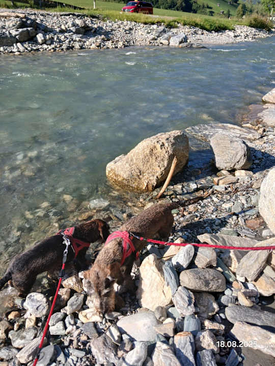 Außenansicht Hotel Appartmenthaus Schützenhof - Schied