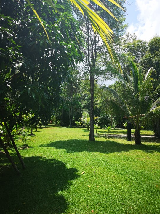 Gartenanlage Centara Koh Chang Tropicana Resort