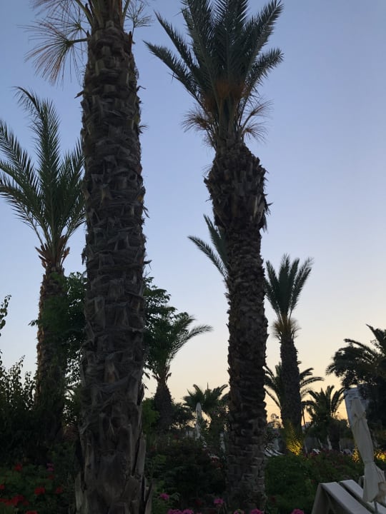 Gartenanlage Crystal Springs Beach Hotel