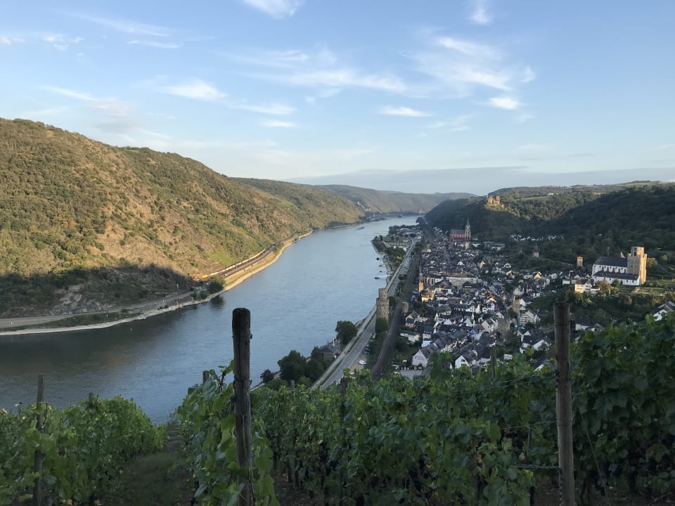 Ausblick Weckmann - Ferienwohnungen in Oberwesel am Mittelrhein