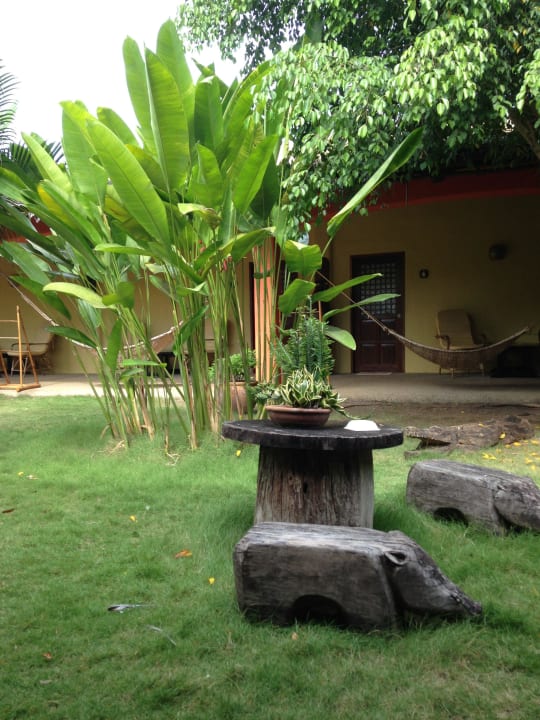 Hamaki przed pokojami i ogord Hotel Hibiscus Garden Inn