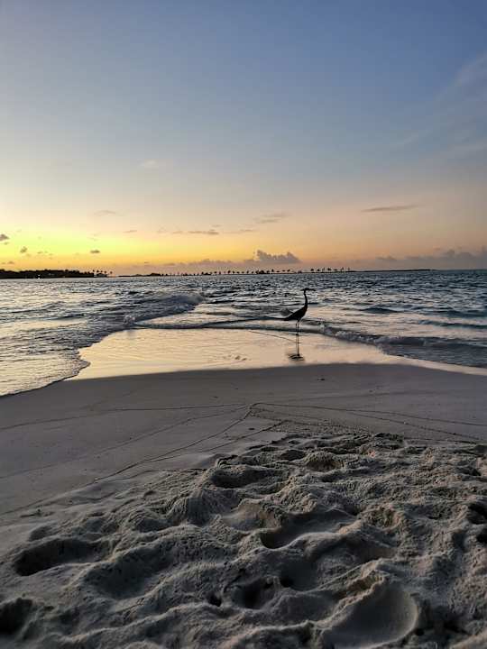 Strand Villa Park Sun Island