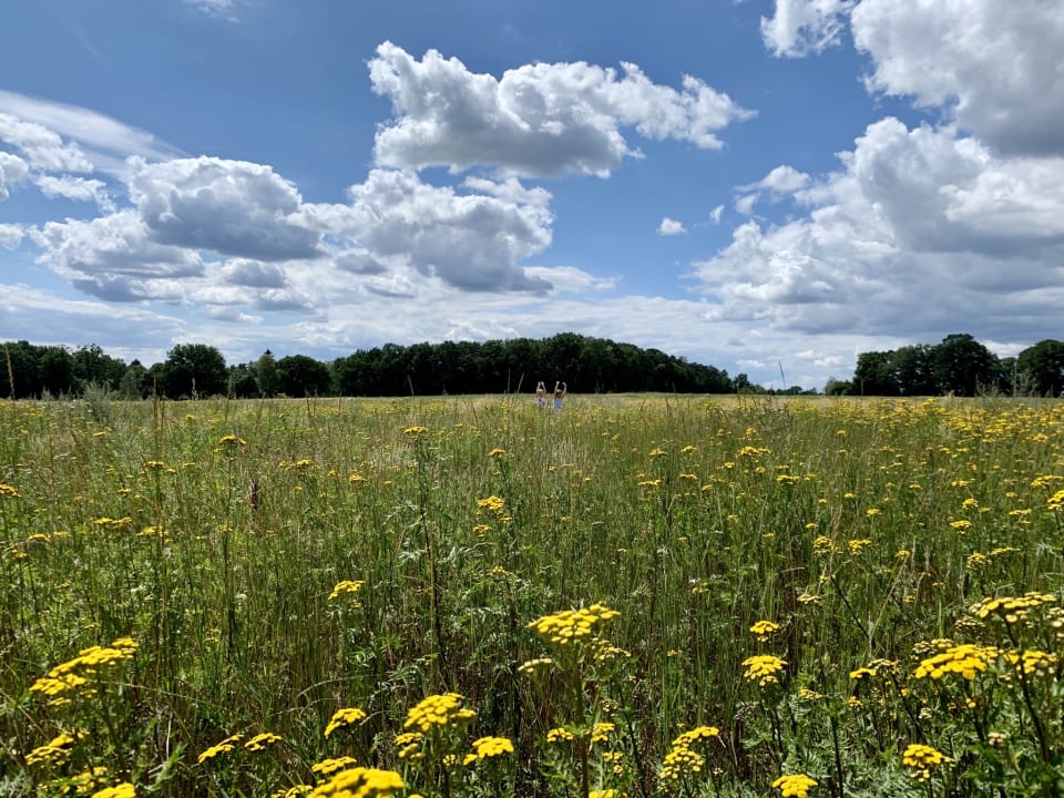 Ausblick Familotel Landhaus Averbeck