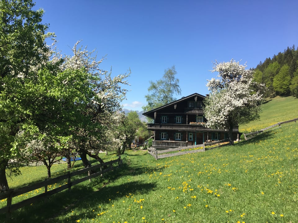 Außenansicht Pension-Biobauernhof Hagenhof