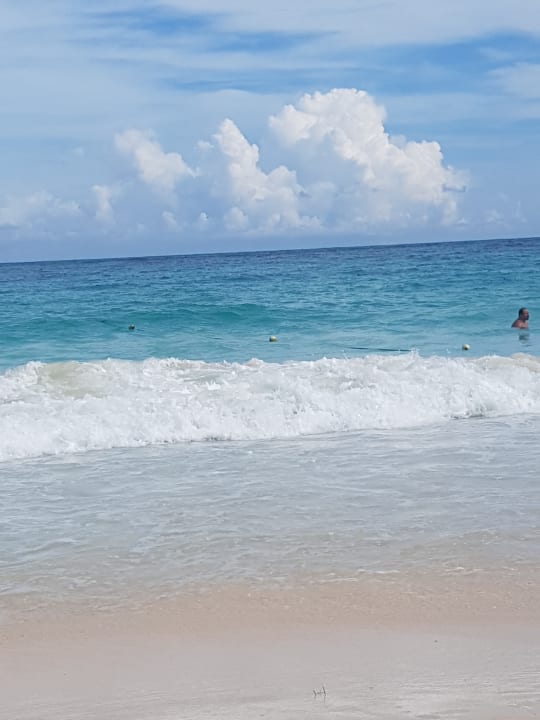 Pool Hotel Riu Republica - Adults only