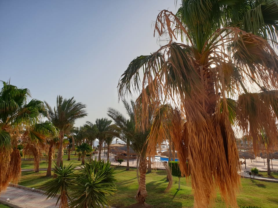 Ausblick Three Corners Sea Beach Resort