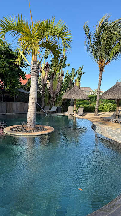 Pool Zilwa Attitude