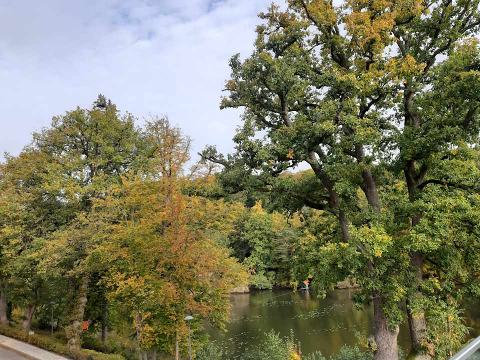 Ausblick Romantischer Winkel RoLigio® & Wellness Resort