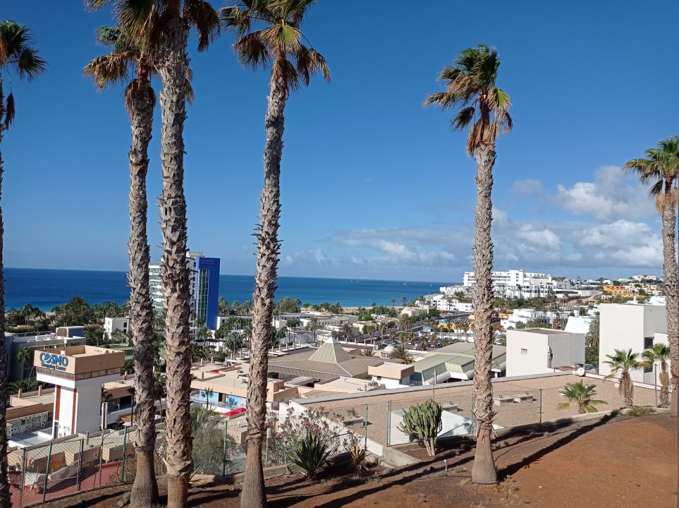 Ausblick Servatur Alameda de Jandía