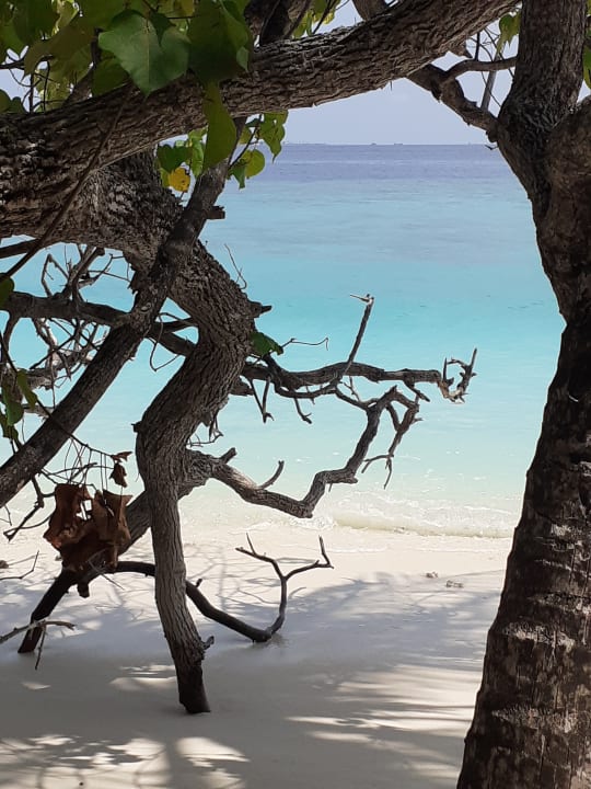 Ausblick Bandos Maldives