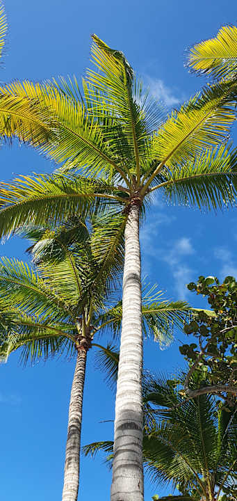 Strand Sol Varadero Beach