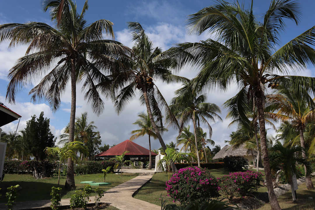Gartenanlage Hotel Playa Pesquero