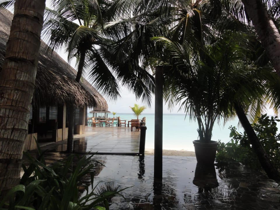 Lagune Bar Deck Kuramathi Maldives
