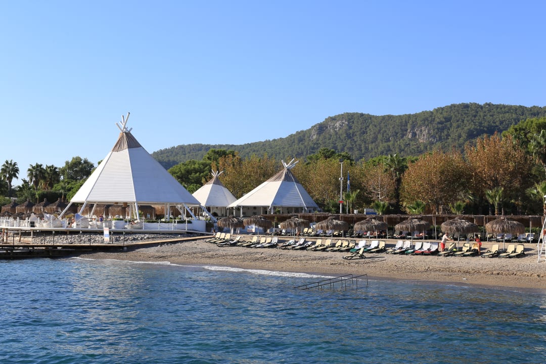 Strand Balmy Foresta