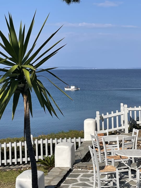 Ausblick Hotel Virginia