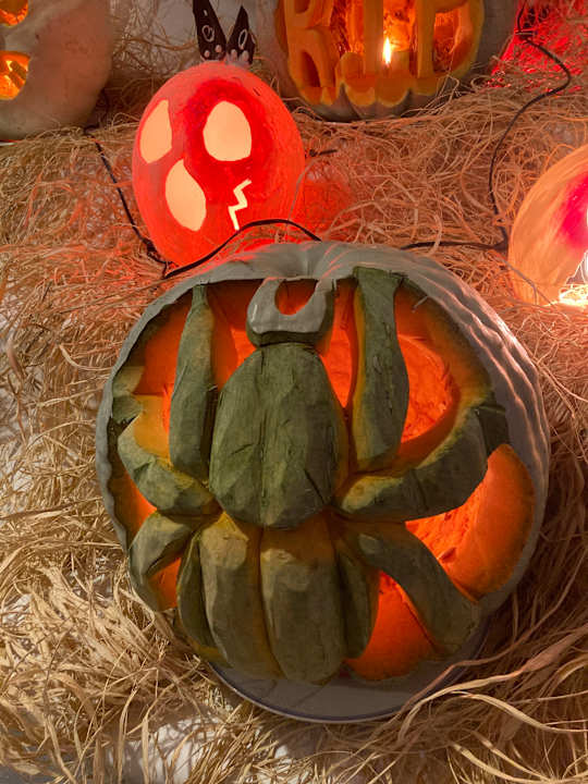 Gartenanlage Commodore Elite Suites & Spa - Adults only