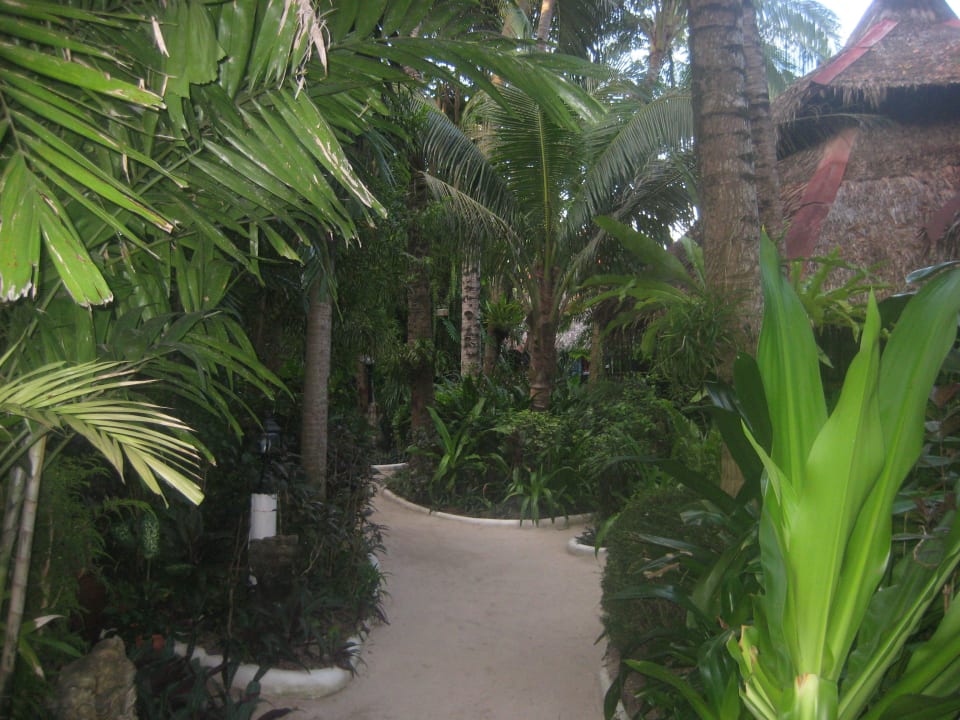 In der Anlage Hotel Nigi Nigi Nu Noos 'e' Nu Nu Noos