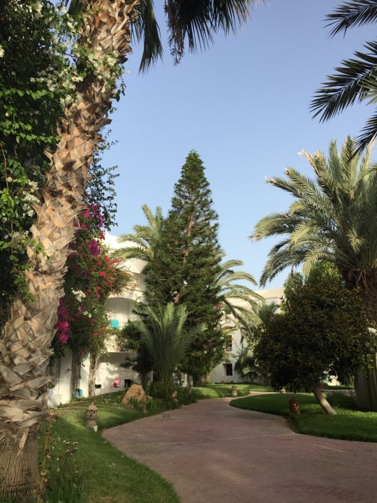 Gartenanlage Hotel Djerba Resort