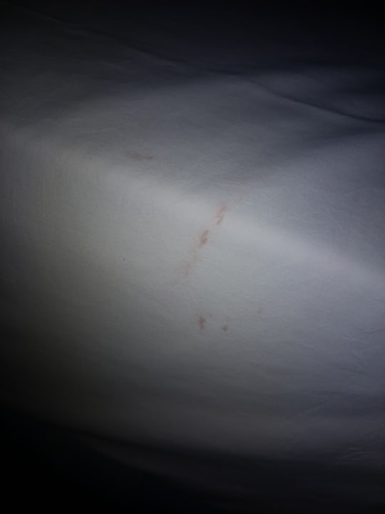 Zimmer Melia Las Dunas