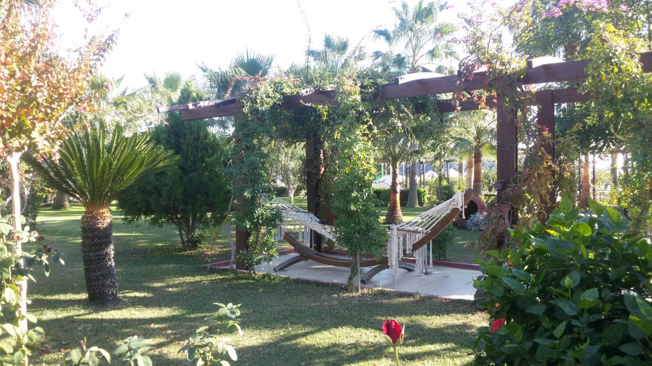 Мои любимые гамаки! Saphir Resort & Spa