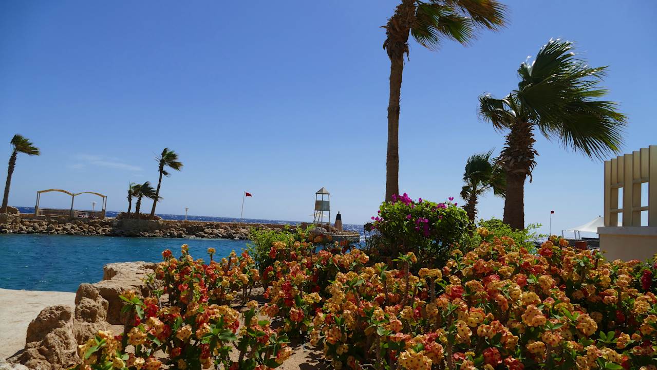 Ausblick Pickalbatros Citadel Resort