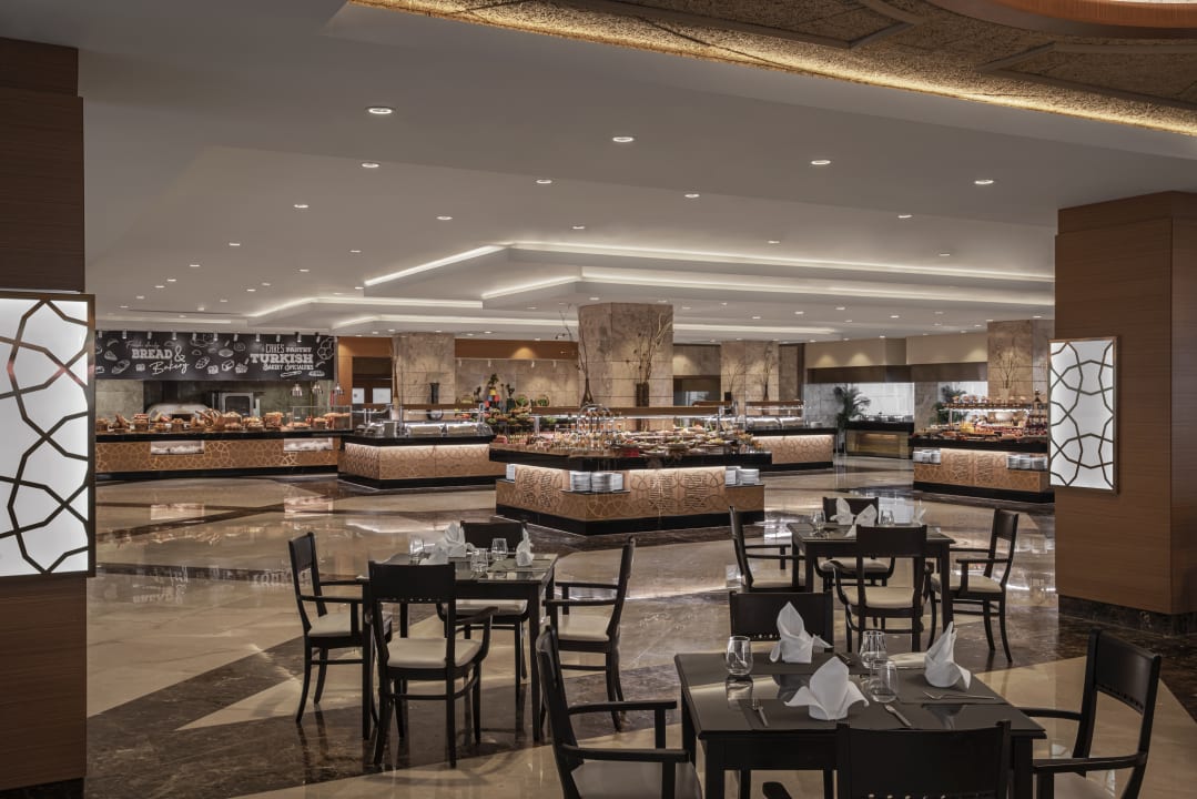 Gastro Papillon Ayscha