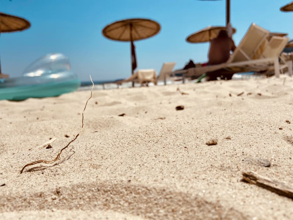 Strand Alexandra Golden Boutique - Adults only