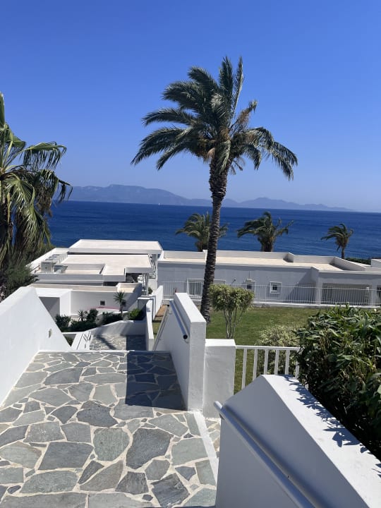 Ausblick Dimitra Beach Hotel & Suites